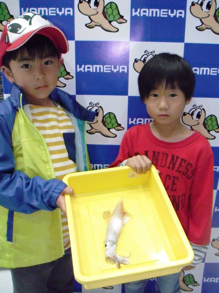 初めてのイカさん かめや釣具
