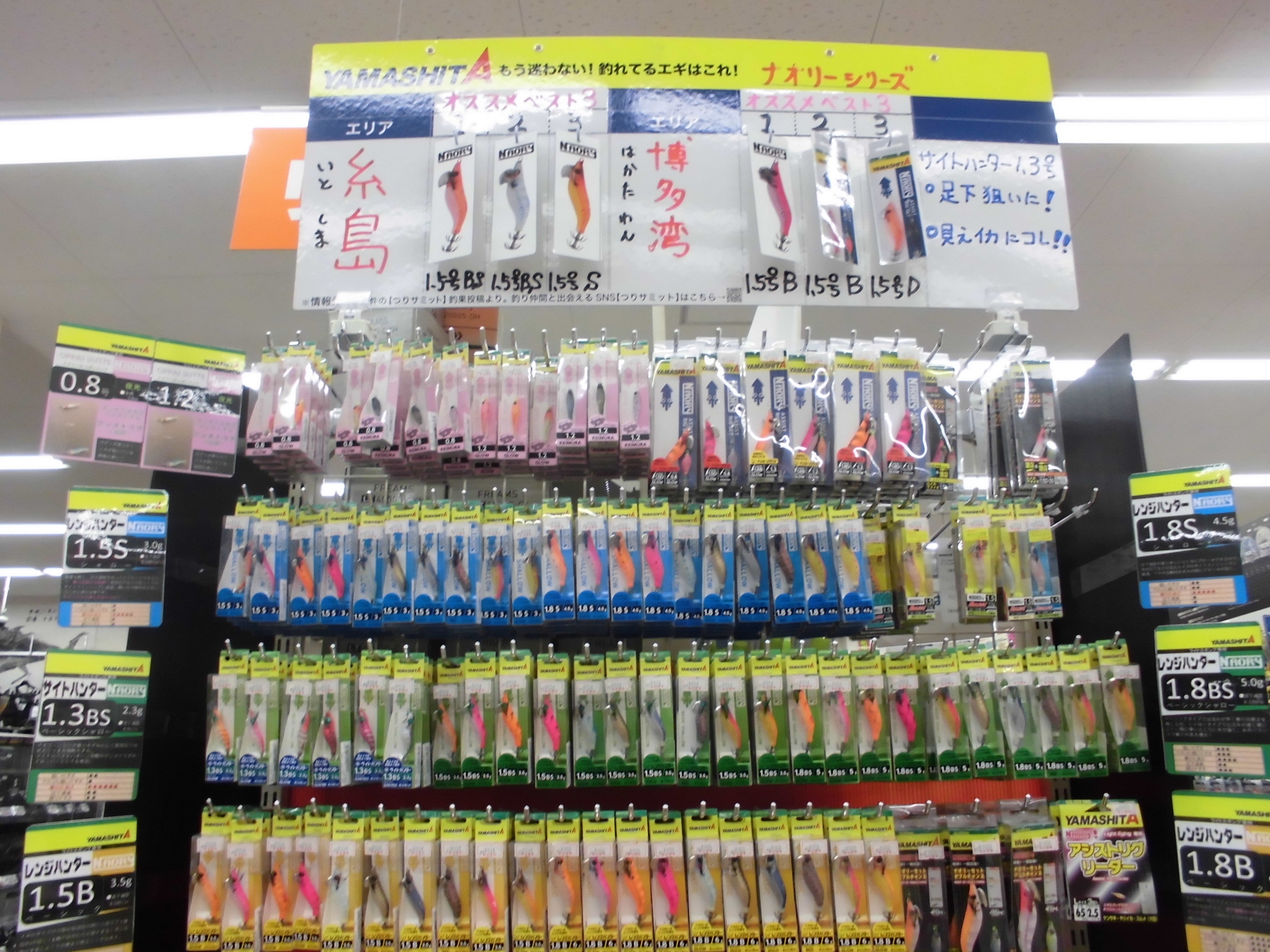 ヒイカコーナー出来ました かめや釣具