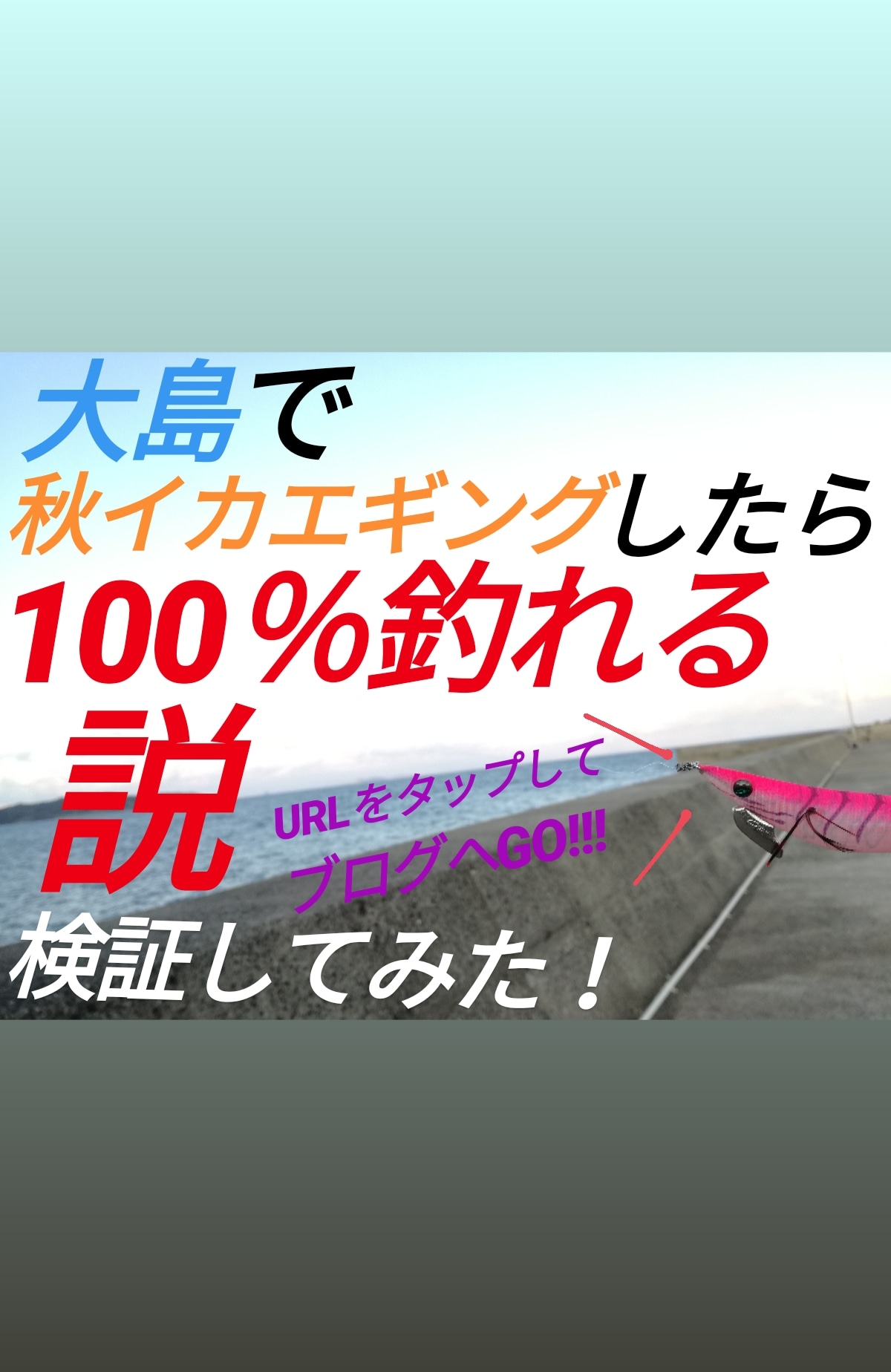 長崎県大島で秋イカエギングしたら１００ 釣れる説 かめや釣具