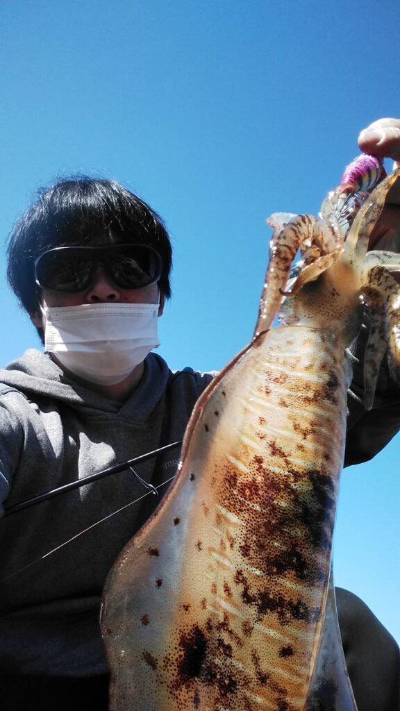 近郊 長崎西部地磯エギング かめや釣具