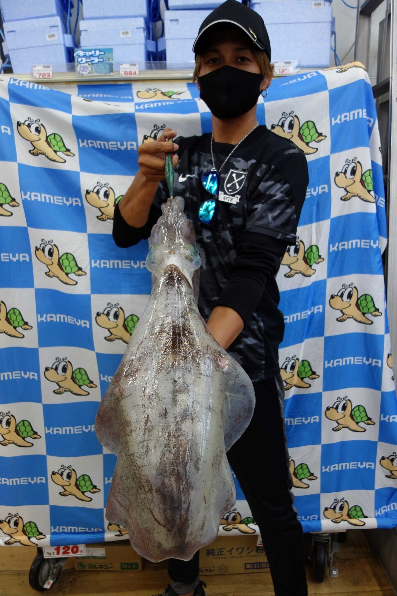 大事件発生！！今年も出ました！！モンスター級アオリイカ