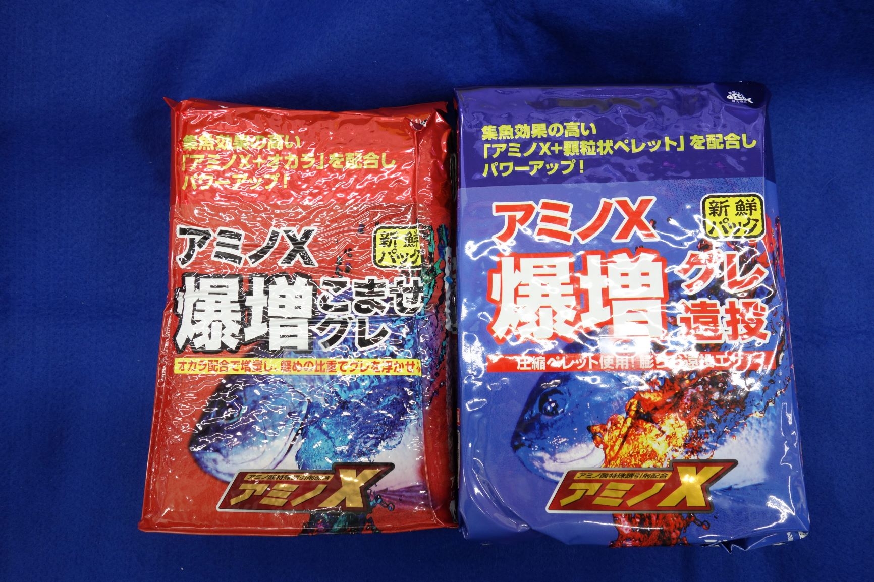 ユッカ ロストラータ 【24-309】超美形 シルバーブルー （現品