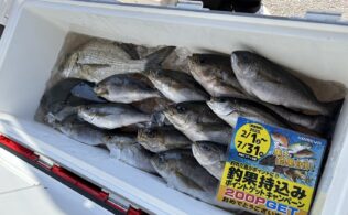 夜釣りがオススメ！