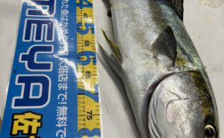 ショアからの大物！