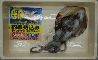 まだ・まだ・まだ・まだ・だま⁉元気ですよっ!!
