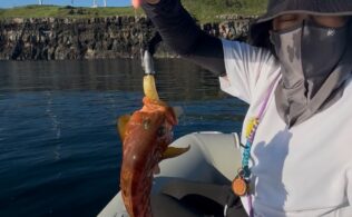 2025.8.30　平戸沖　根魚他
