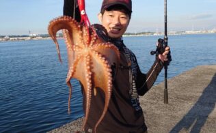 まだまだ釣れる？？タコエギング釣行！