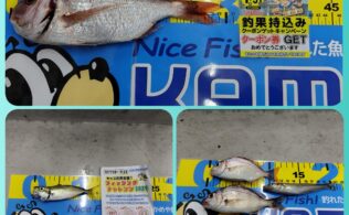 多数お持ち込み頂いております！♬🐟