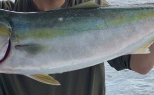 2025/10/12　玄界灘　落とし込み釣り