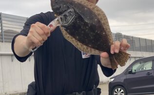 日吉原公共埠頭カワハギ爆釣！SPゲストも？？