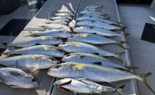 2025.10.30　玄界灘　落とし込み