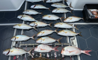 2025.10.19 玄界灘 真鯛･青物