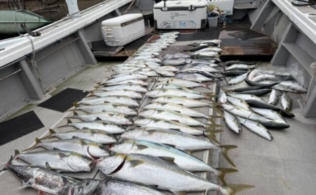 2025.11.13 玄界灘 青物