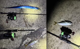 長崎南部　ライトゲーム