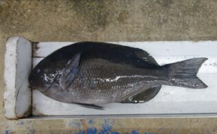 2025.11.12 上五島　クロ