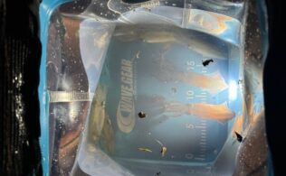 2025.11.7 博多湾内　ヒイカ