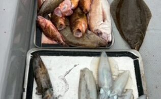 2025.11.15 平戸沖　アオリイカ・根魚など