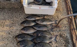 大瀬戸　ウーゼハナレ