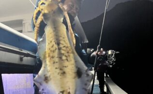 ティップランでキロアップ釣れ始めました！