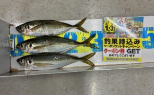 尺アジ乱舞!!～大分萩原店