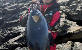 大瀬戸で爆釣！！　グレ釣果