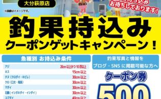 キロアップアオリイカお持ち込み頂きました✨