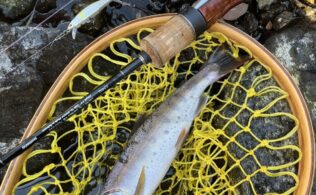 大野川水系渓流解禁！　ミノーイング好調です♪