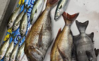 石鯛五目シーズン間近？？？？