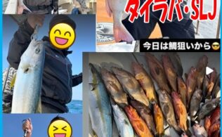 【遊漁船釣果】フィッシングボートN【タイラバ・SLJ】