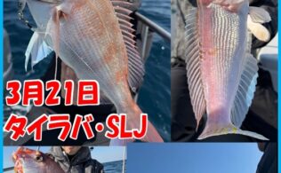 【遊漁船釣果】BG Hirado【タイラバ・SLJ】