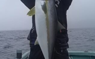 ヒラマサが！！