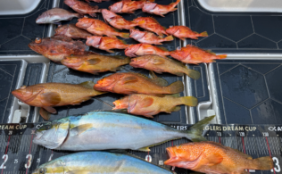 2026.3.9 玄界灘 青物・根魚