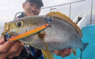 平島・江の島沖　イサキ　最大45cm程が船中10匹程