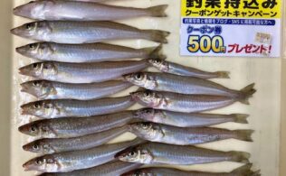 琴海　キス