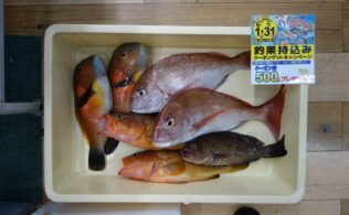 本日の釣果持込み～