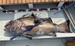 イシナギ 112cm・24kg