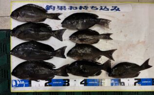 お客様　　釣果情報