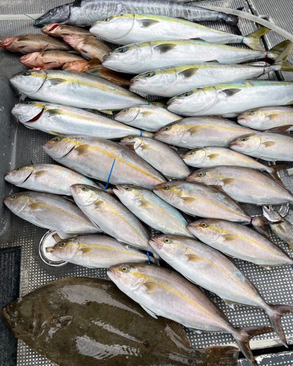 BFC41EF1-0BFF-4282-A770-E701BF572033