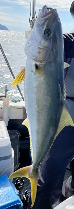 QUCoTraXjUJu1mH1762408374_1762408407