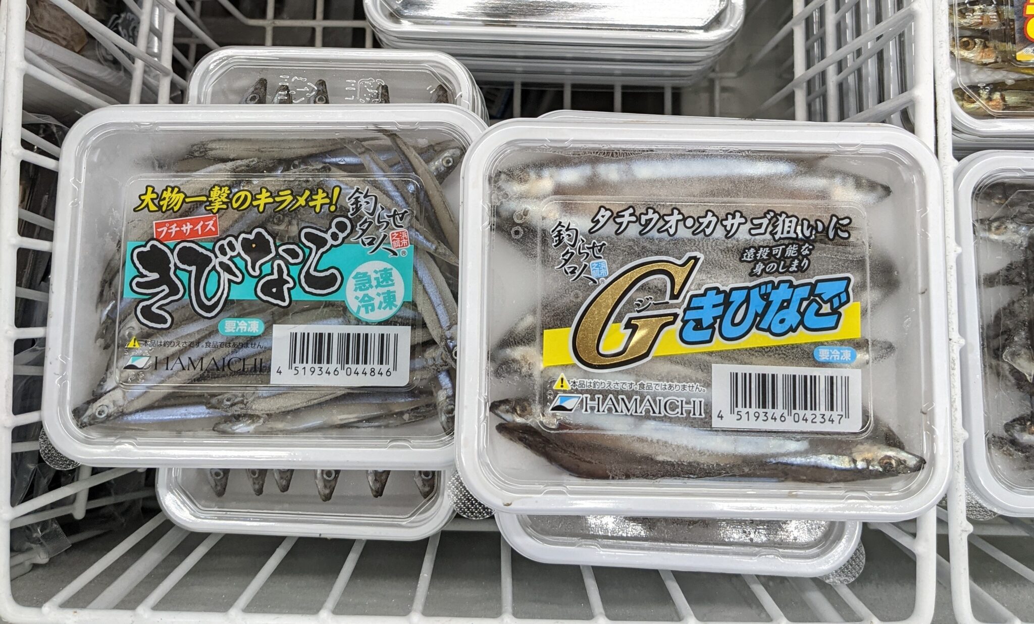 浜市さんより「冷凍キビナゴ餌」入荷致しました！ | かめや釣具