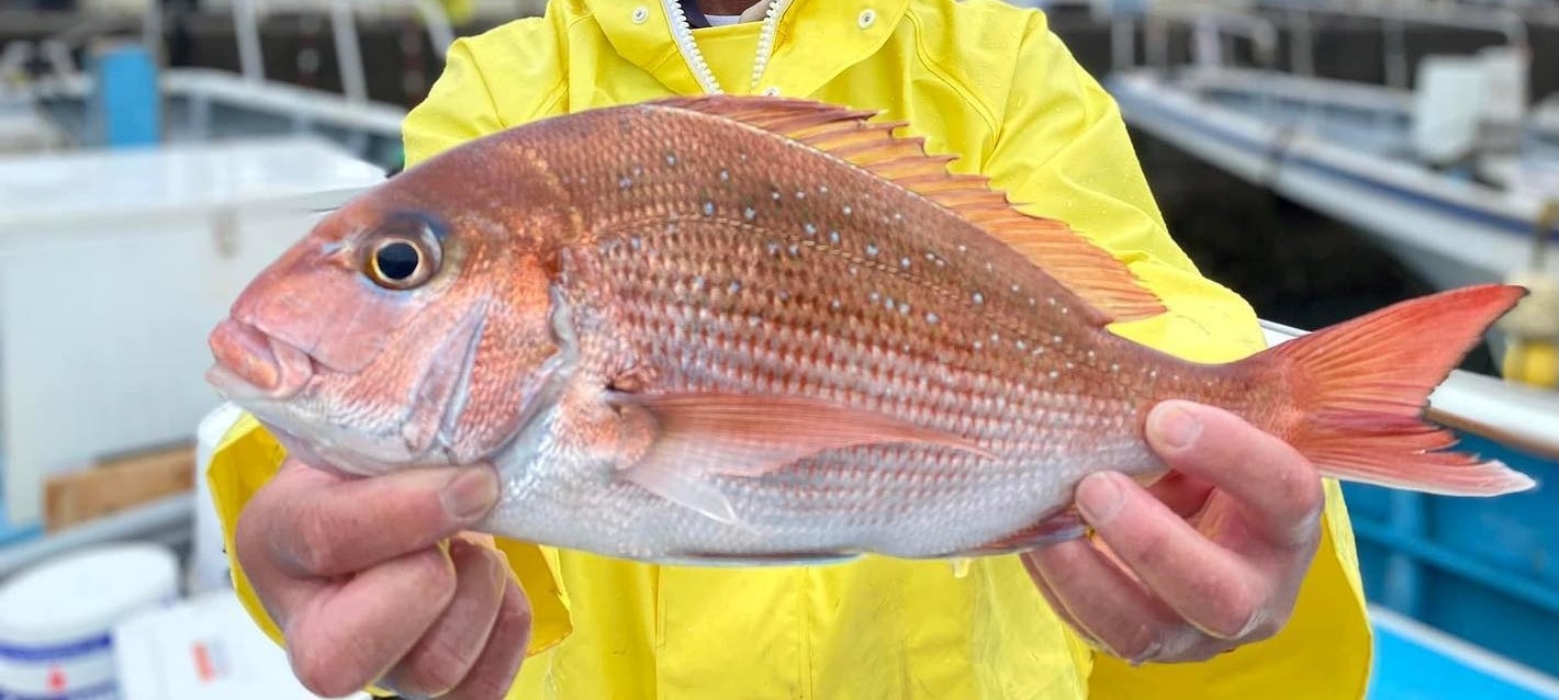 277468311_4395549583880899_378