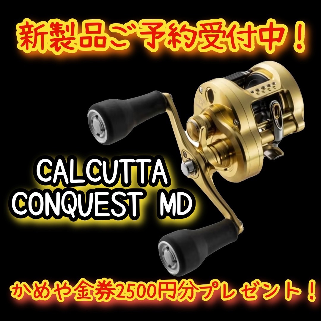 23カルカッタコンクエスト MD 400XGLH(右ハンドル)-silversky-lifesciences.com