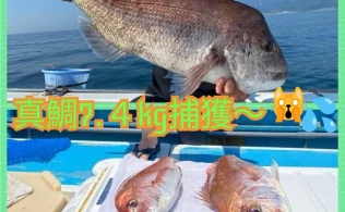 小田原沖にて真鯛７．４ｋｇが釣れたそうです。