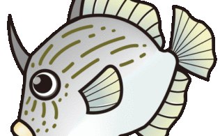 2025/10/23　沼津サーフ　カワハギ