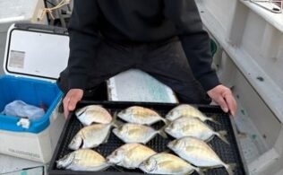 宇佐美沖にてカイワリトップ１０枚