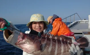 南伊豆沖にてマハタが釣れてます。