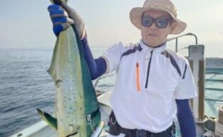 小田原沖にてシイラが釣れております。