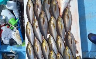 初島沖イサキ堅調！ゲストも多彩！