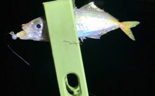 沼津エリアの堤防でアジが釣れてます。