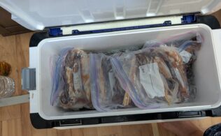 石廊崎沖にてスルメイカが釣れてます。